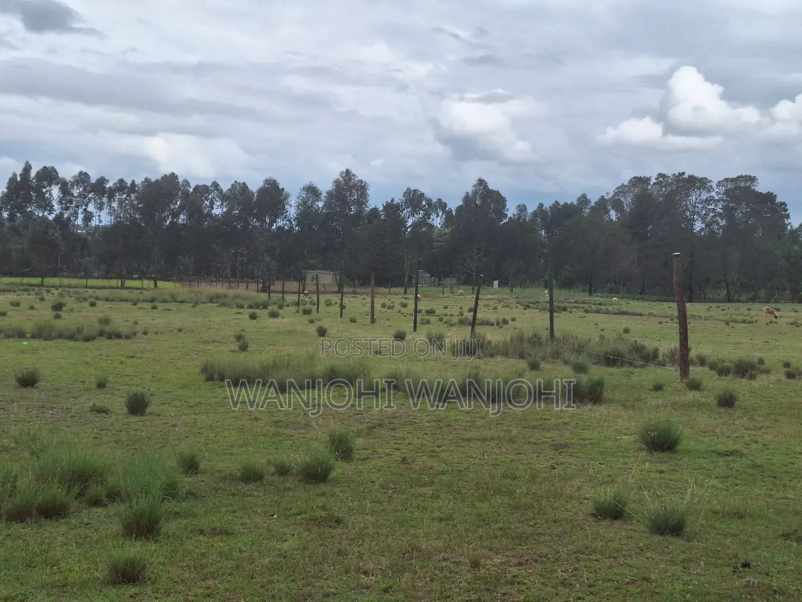 Leshau, Nyahururu Prime Plots in Igwamiti