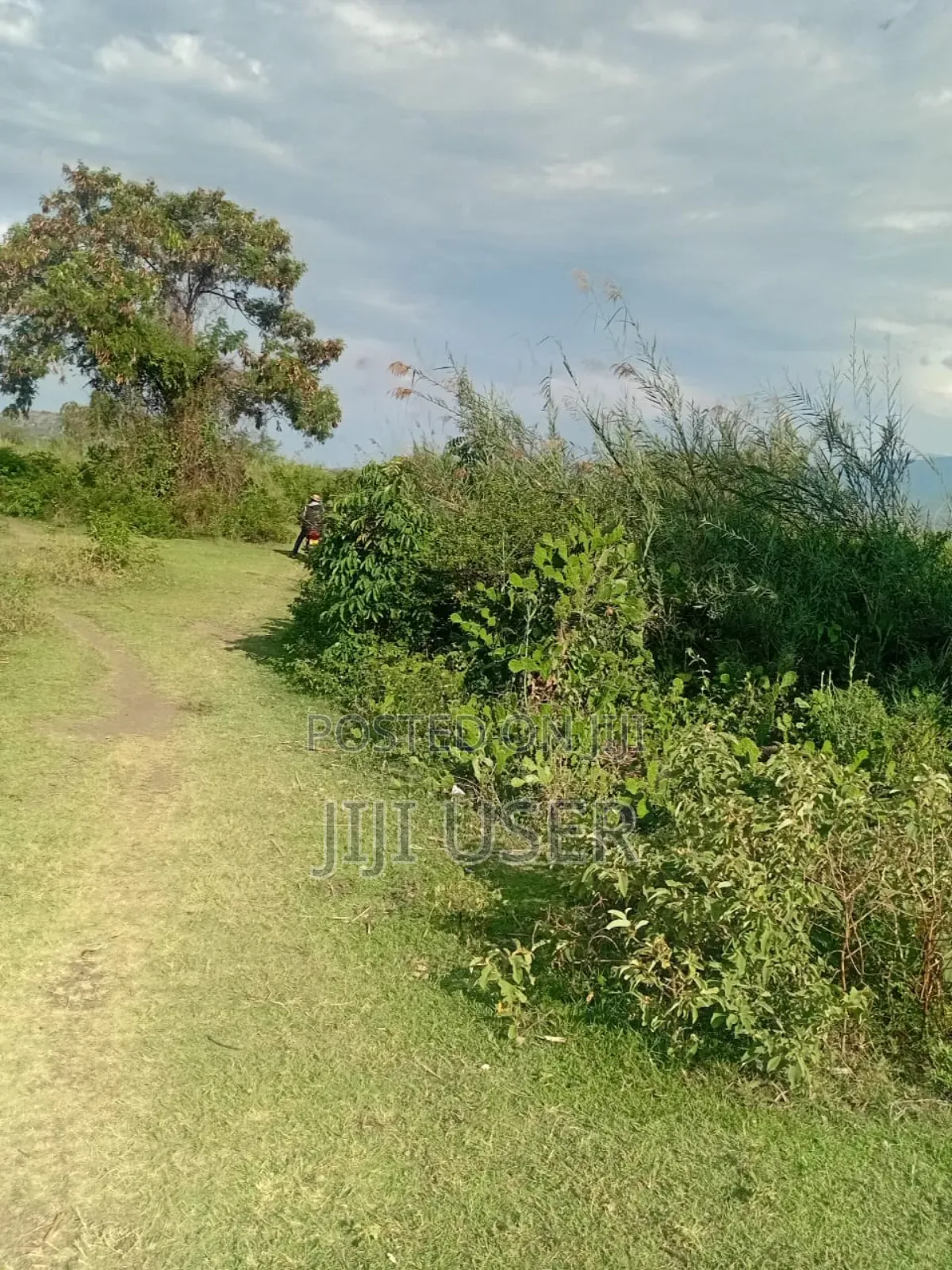 One Acre Beach Land in Rusinga Island in Rusinga Island