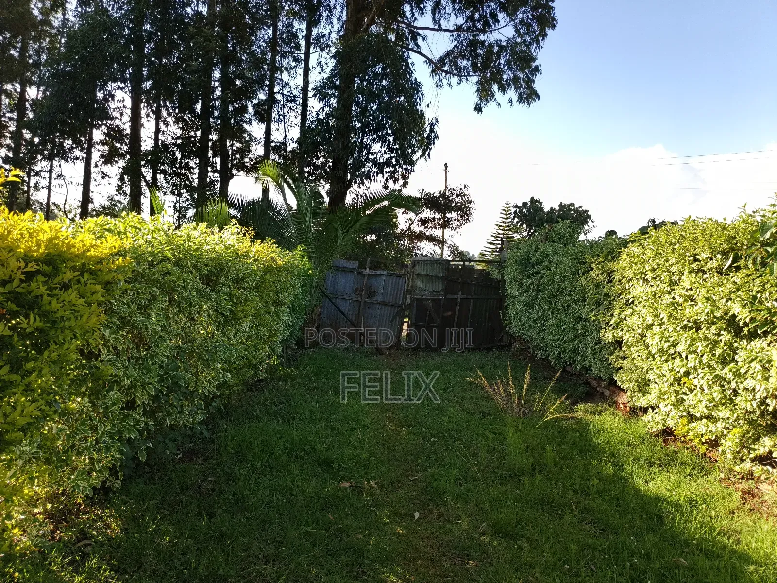 Karatina/ Ngandu 1 Acre With a House. in Karatina Town