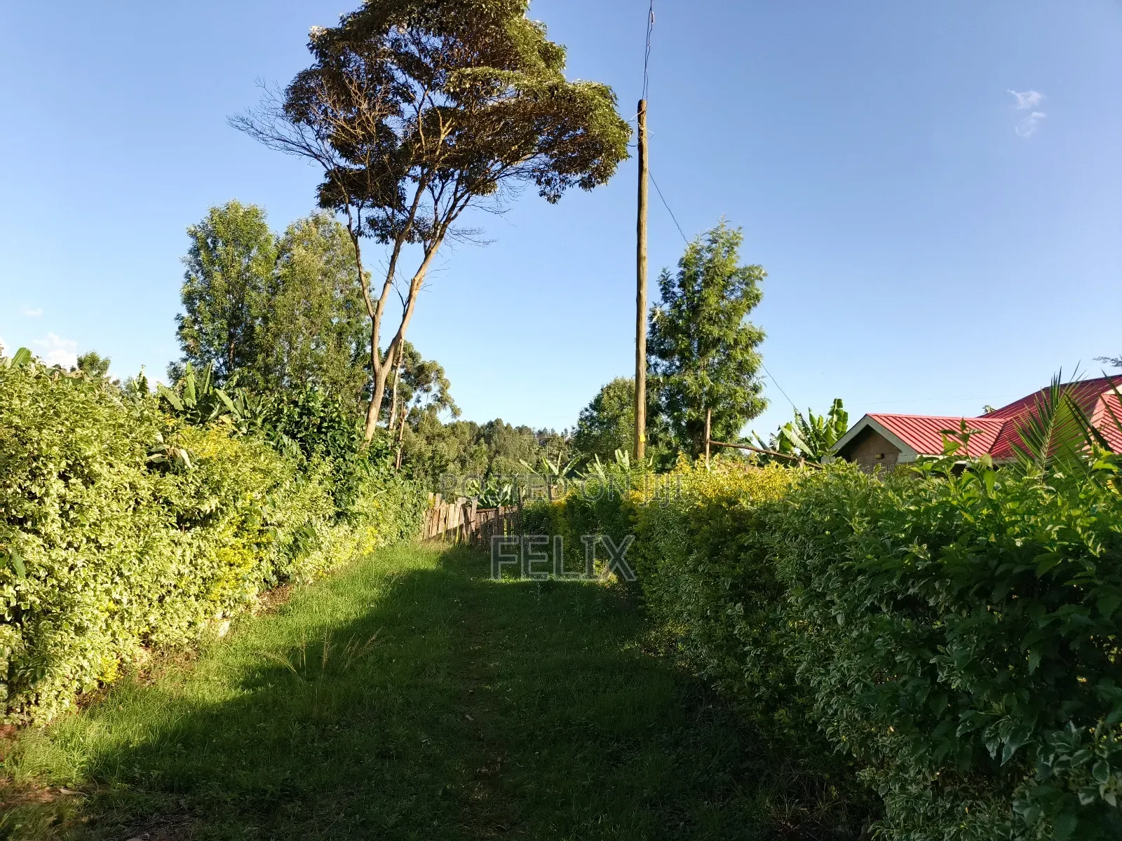 Karatina/ Ngandu 1 Acre With a House. in Karatina Town