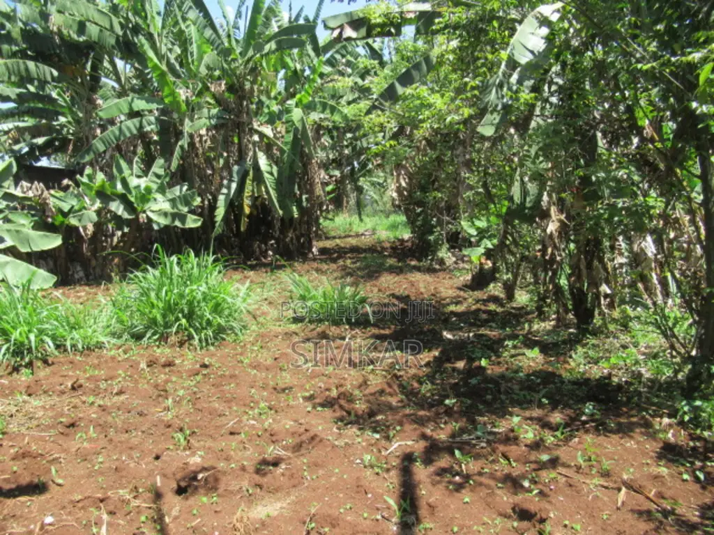 0.25-Acre Plot for Sale in Ruaka - Gacharage Junction Area in Ruaka