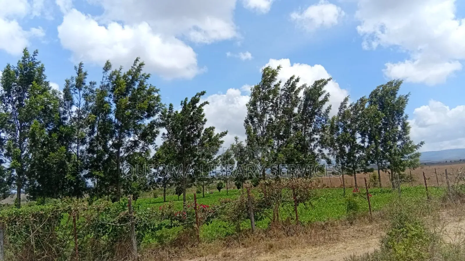 3-Acre Goldmine in Kinanie Kwamboo Area – Kshs. 2.1m Per Acre Only! in Kinanie