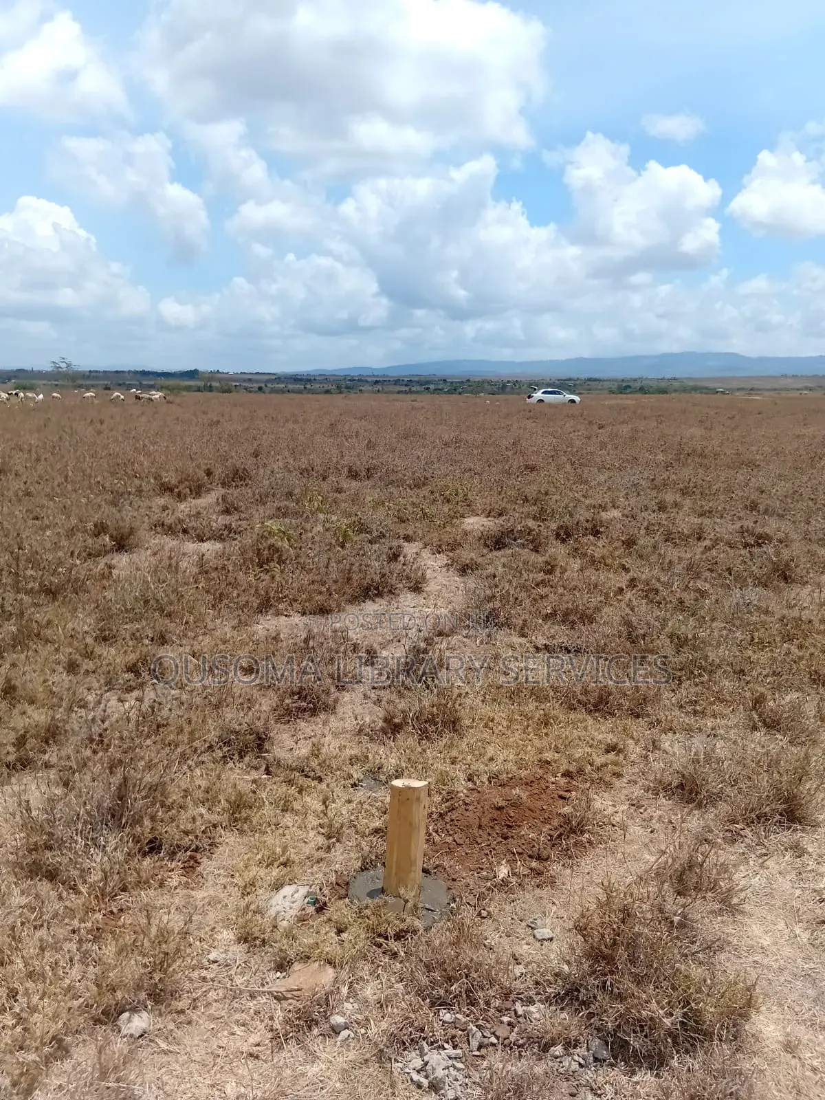 3-Acre Goldmine in Kinanie Kwamboo Area – Kshs. 2.1m Per Acre Only! in Kinanie