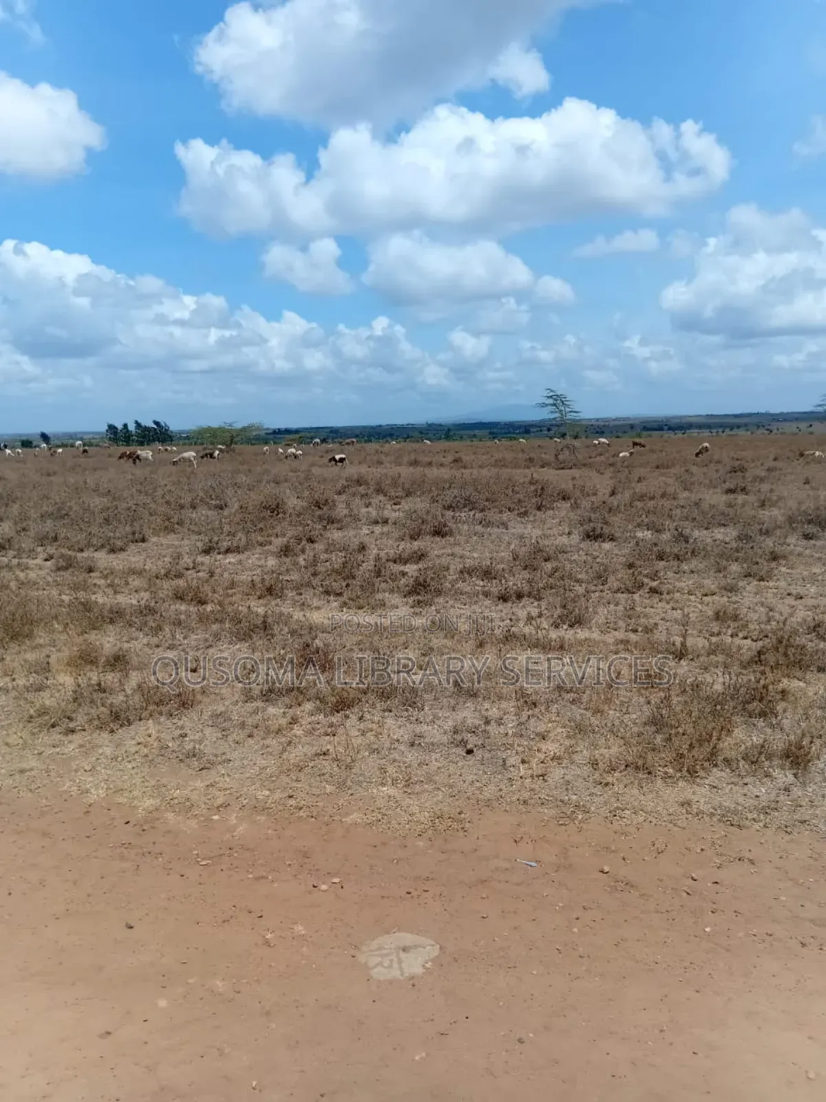 3-Acre Goldmine in Kinanie Kwamboo Area – Kshs. 2.1m Per Acre Only! in Kinanie
