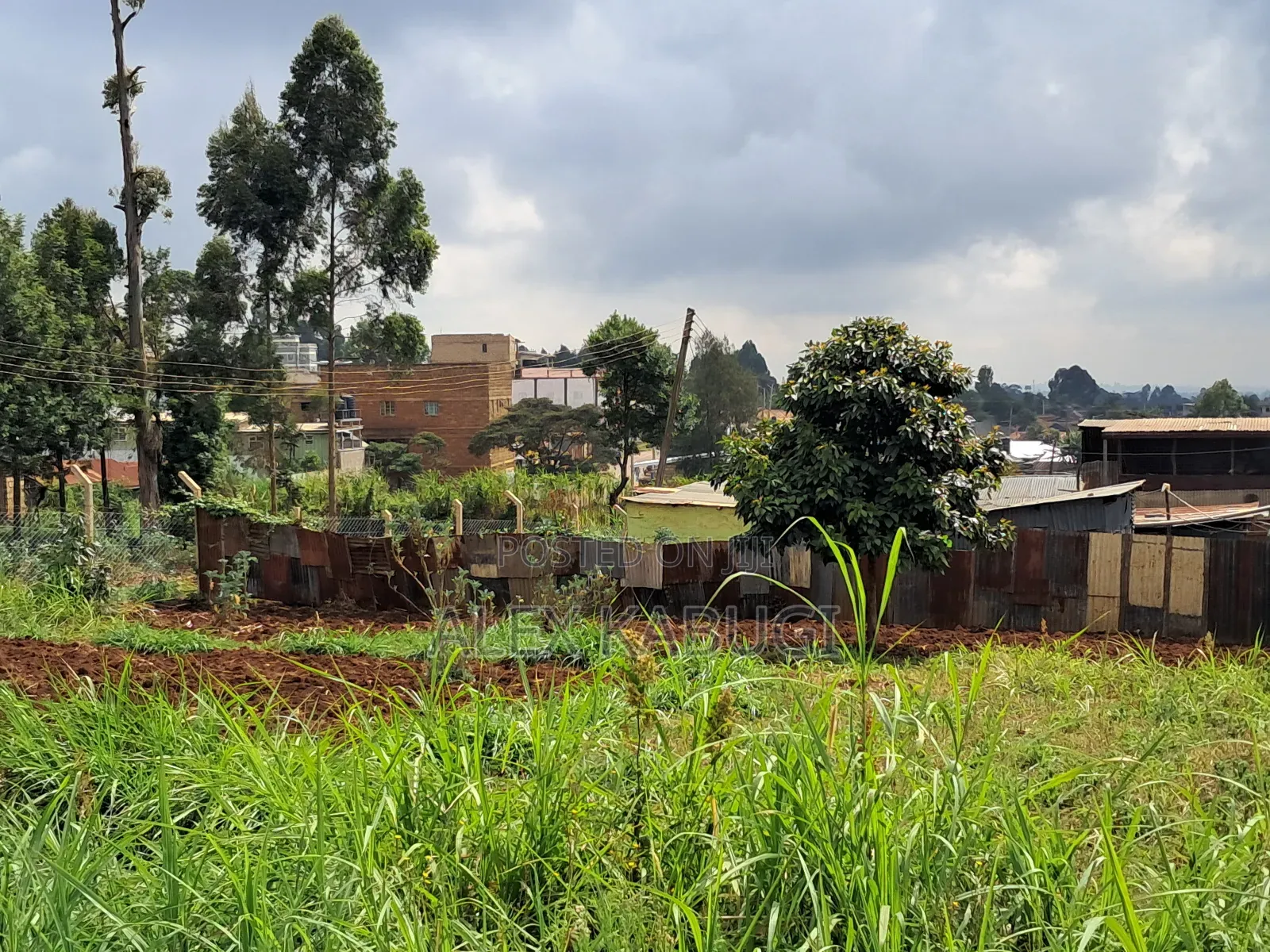 Plot for Sale Zambezi in Zambezi/Sigona