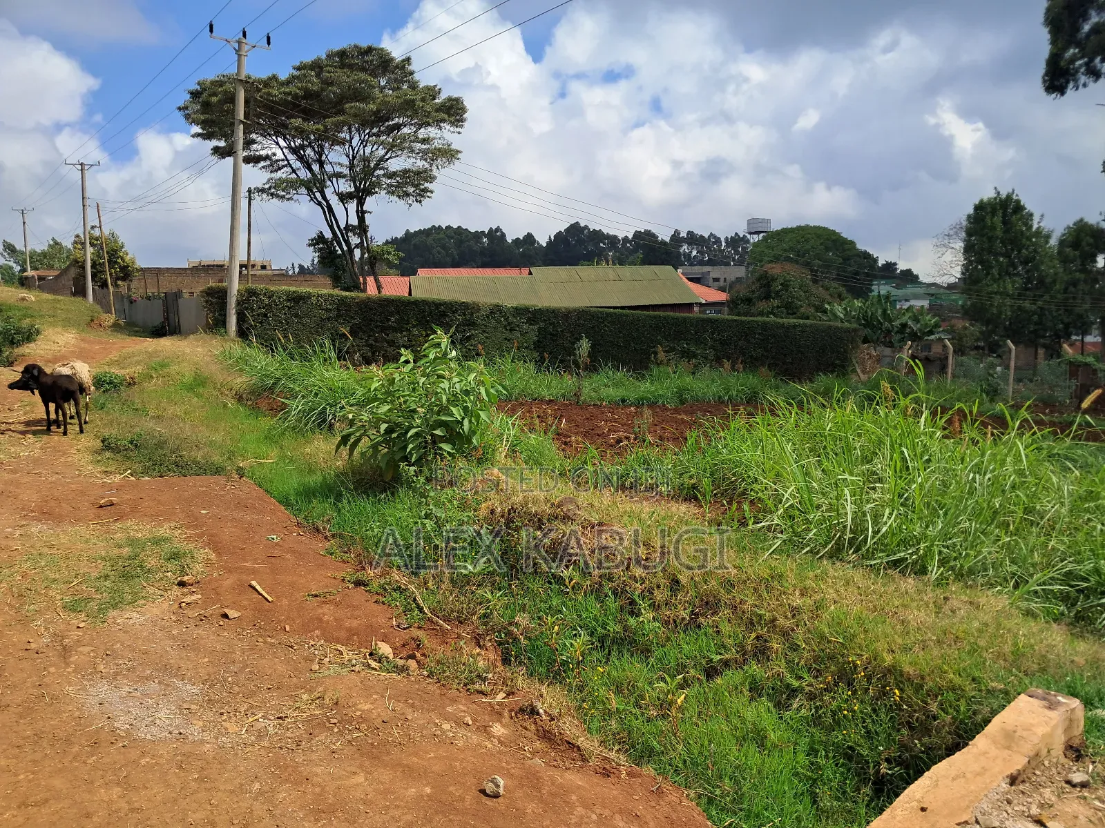 Plot for Sale Zambezi in Zambezi/Sigona