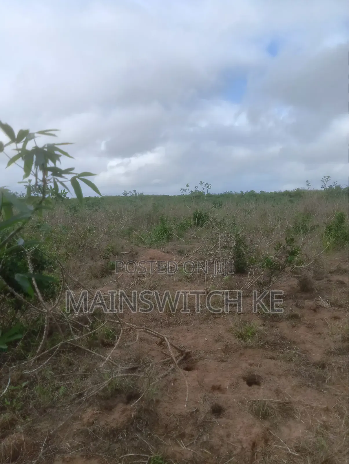 Prime 40-Acres Block in Marafa