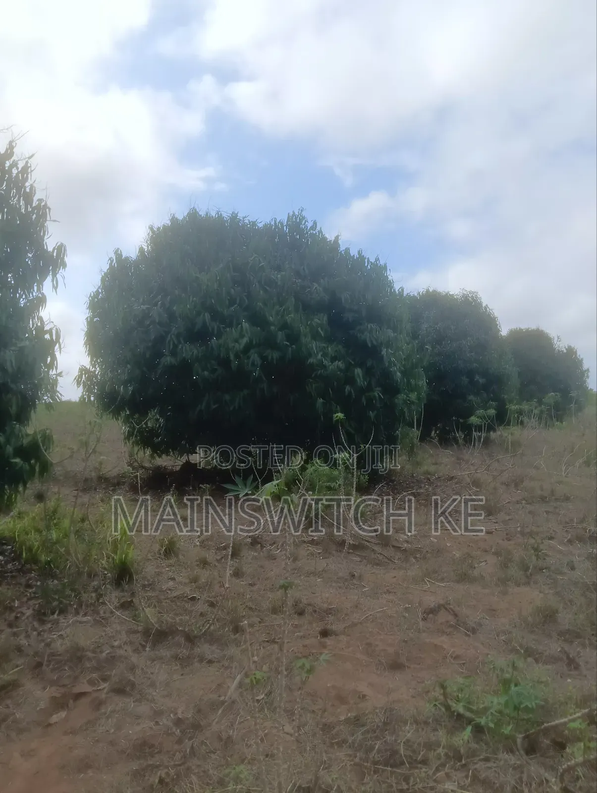 Prime 40-Acres Block in Marafa