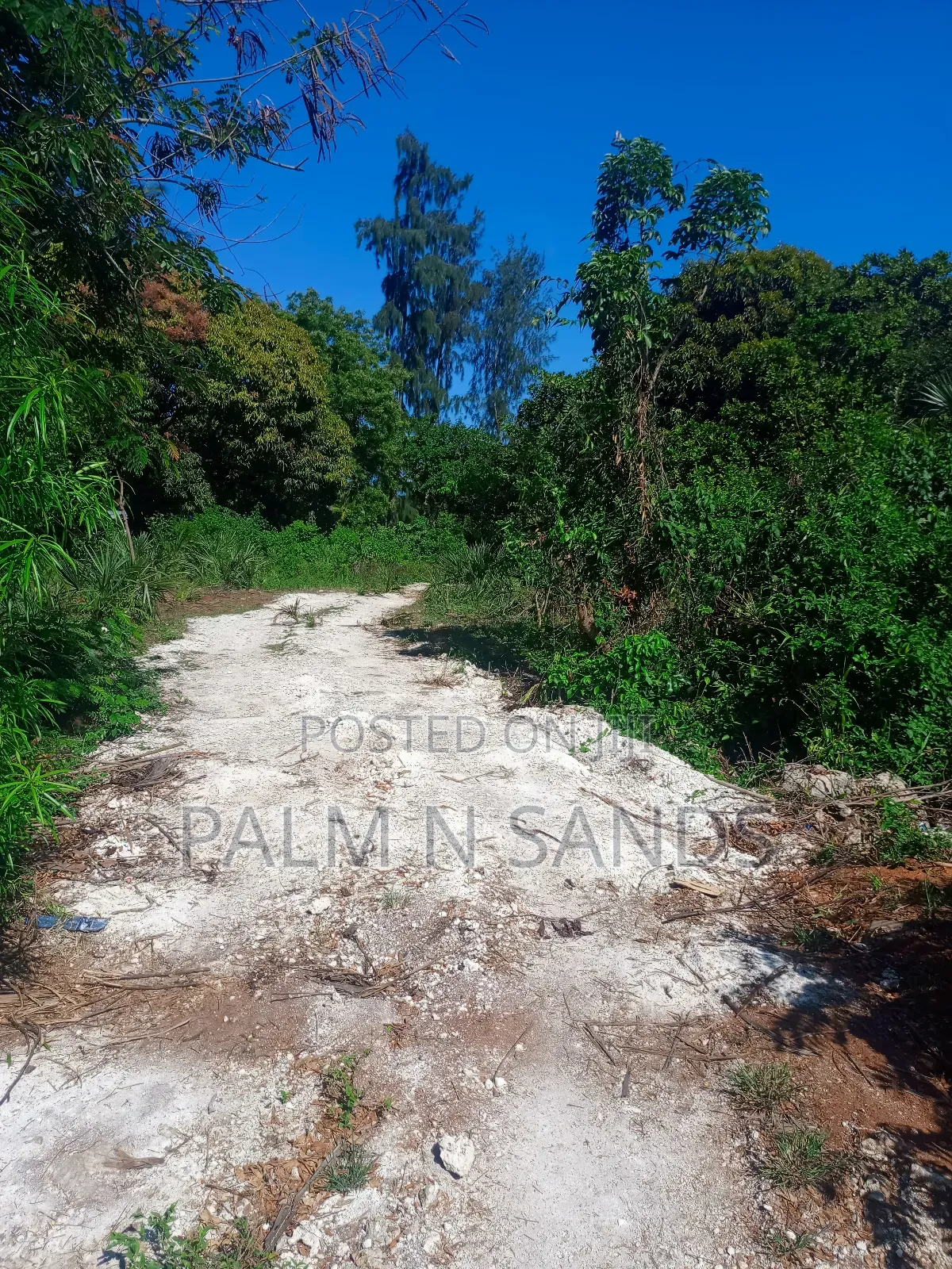 One Acre Near Mekaela Sec. School in Diani on Sale!! in Diani