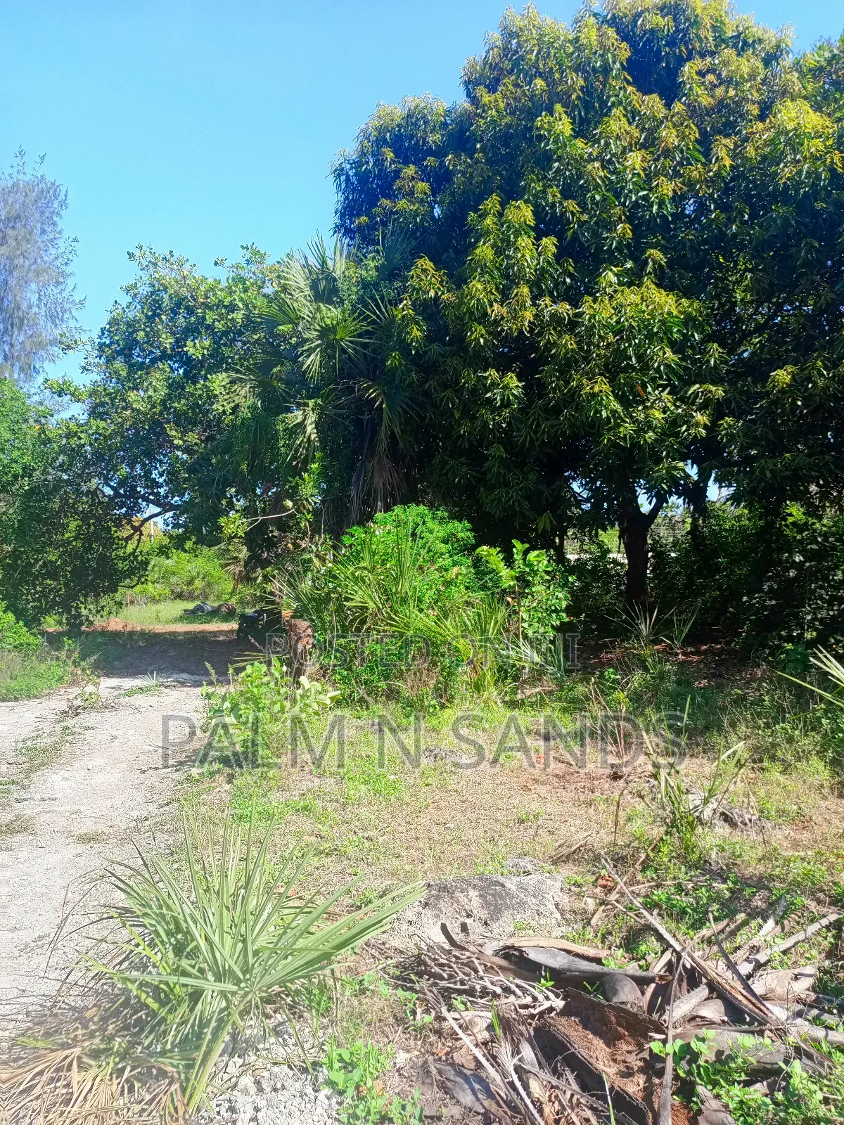 One Acre Near Mekaela Sec. School in Diani on Sale!! in Diani