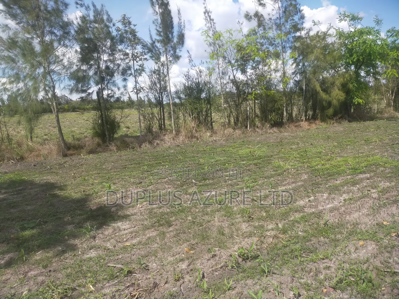 1/2 Acre for Sale in Machakos~Junction in Junction