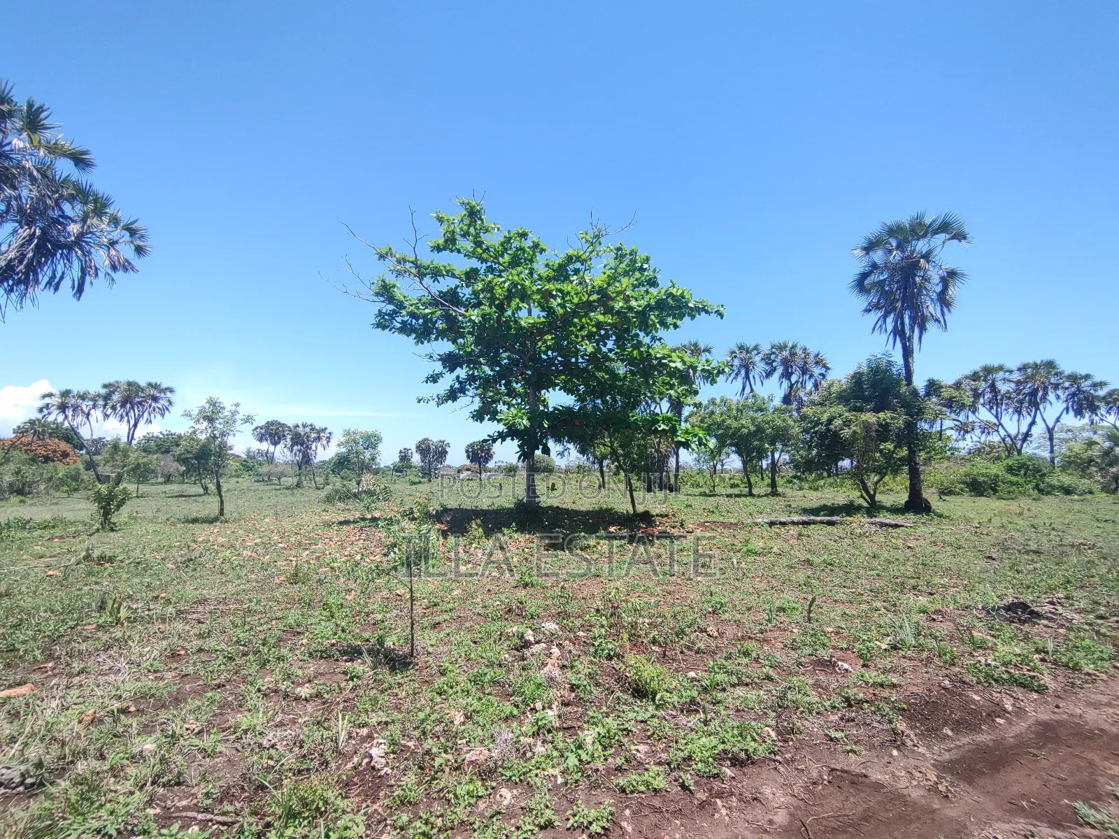 Development Opportunity in Diani in Ukunda
