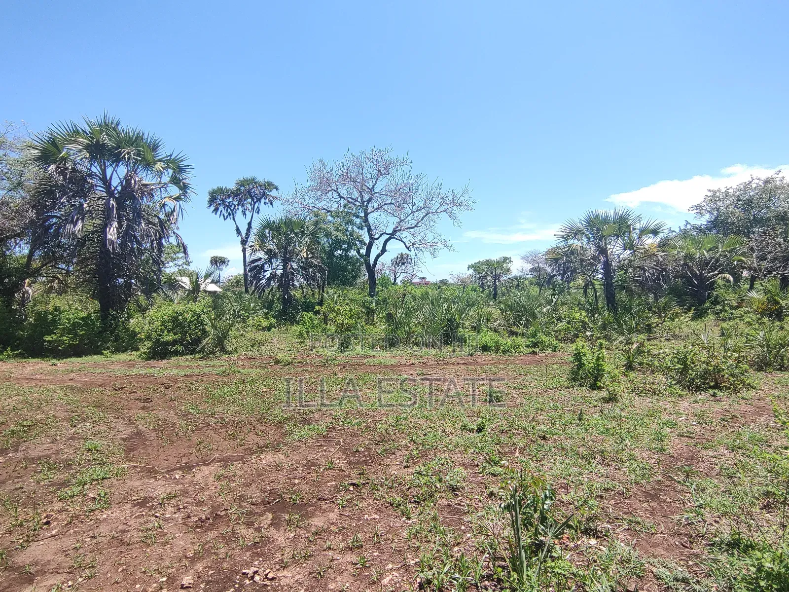 Development Opportunity in Diani in Ukunda