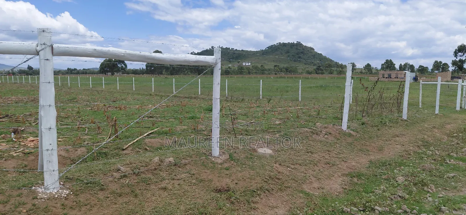 Prime 50x100 Plots Naivasha in Maella