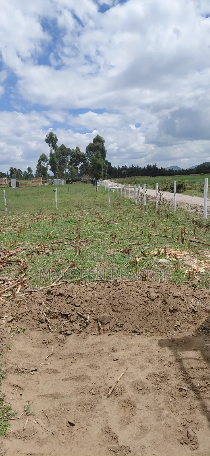 Prime 50x100 Plots Naivasha in Maella