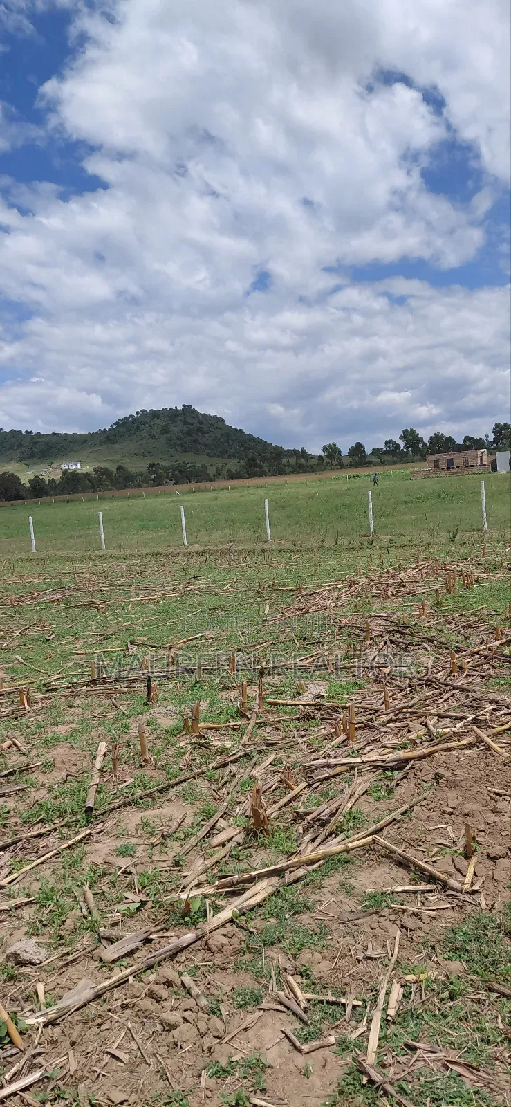 Prime 50x100 Plots Naivasha in Maella