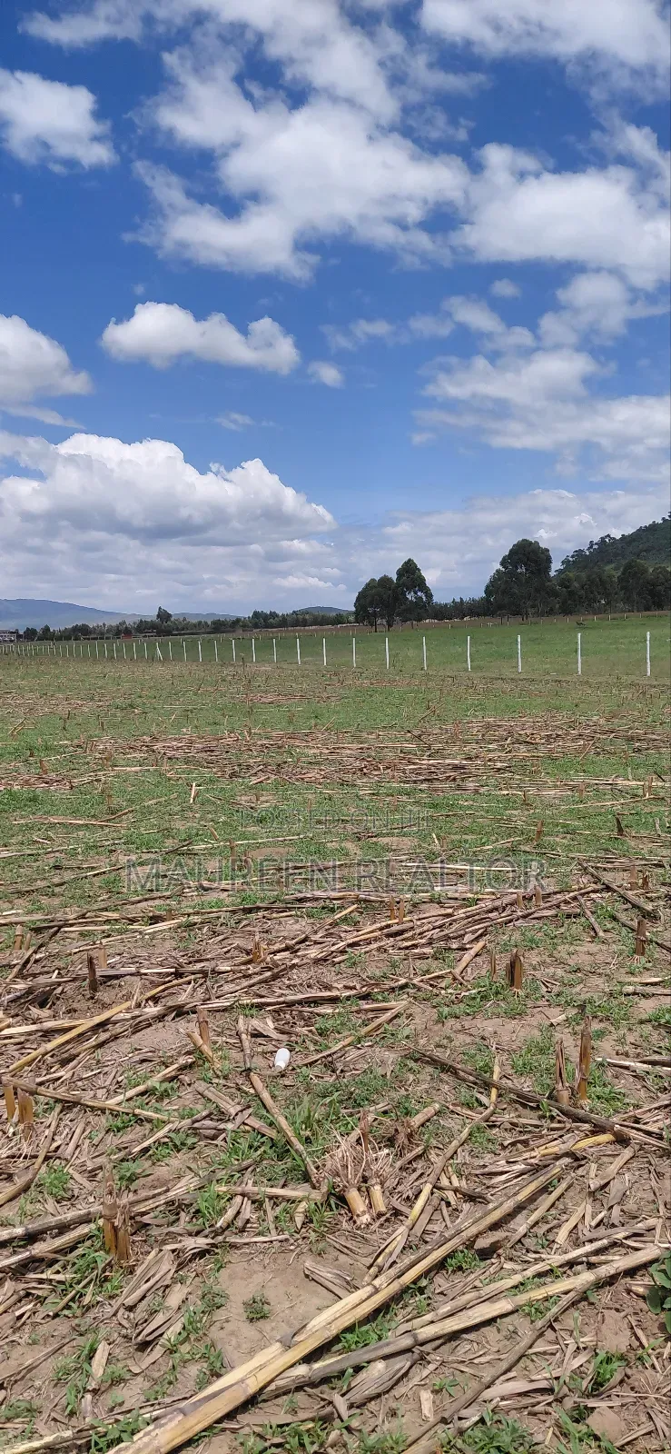 Prime 50x100 Plots Naivasha in Maella