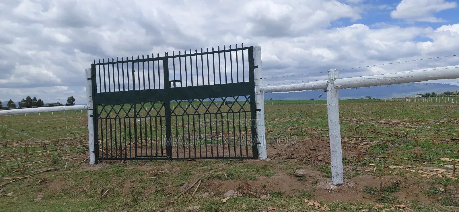 Prime 50x100 Plots Naivasha in Maella