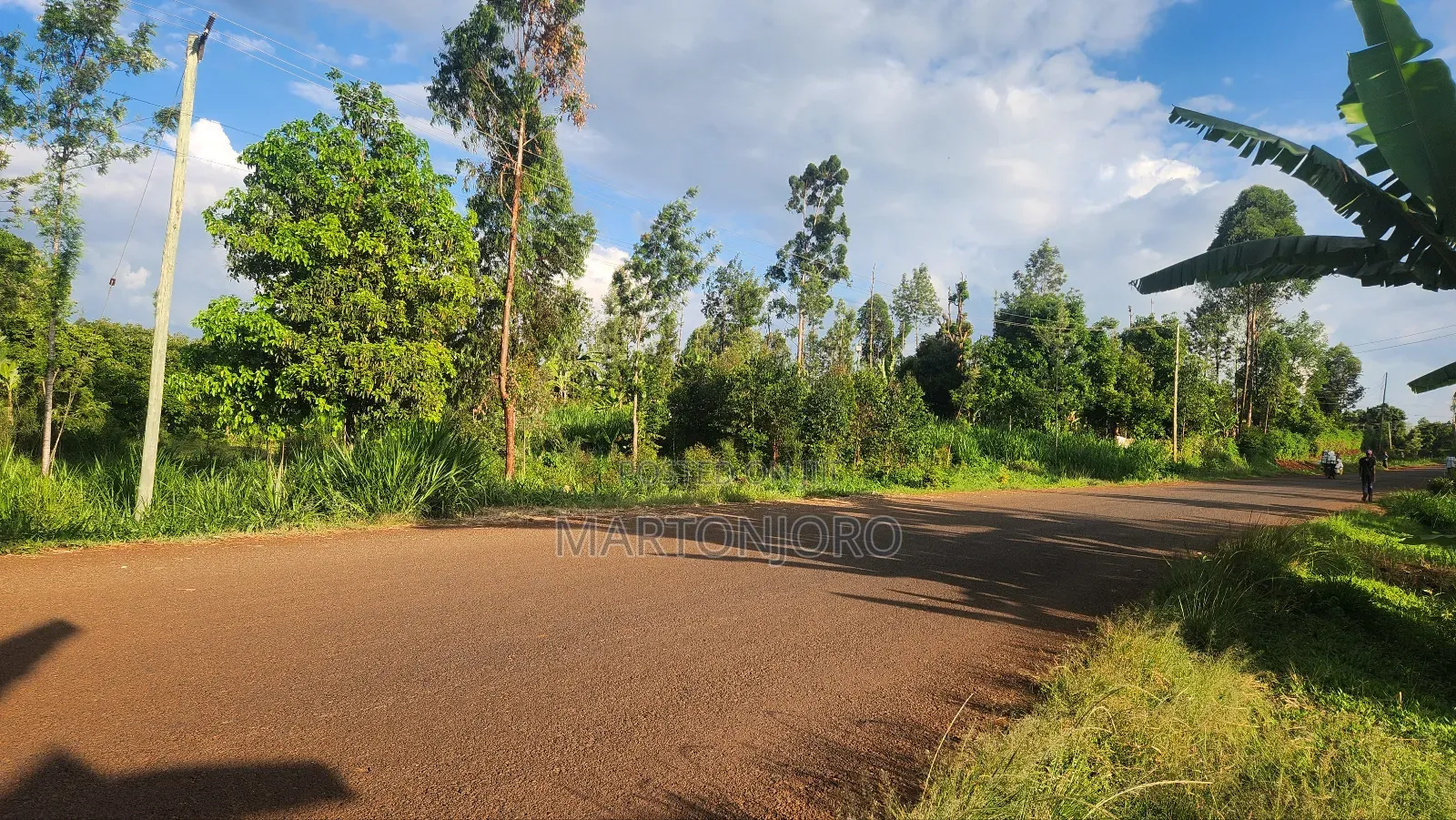 Kiamwangi Ngeda Gatundu South in Kiamwangi