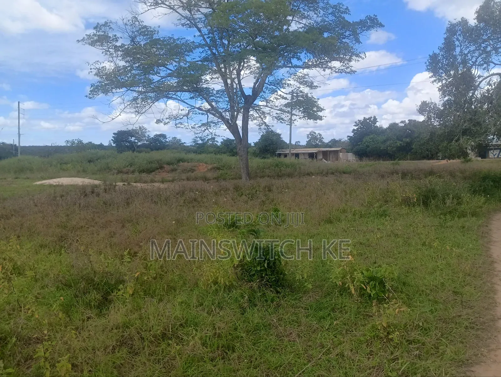 2 Acres Touching Tarmac Road in Marafa