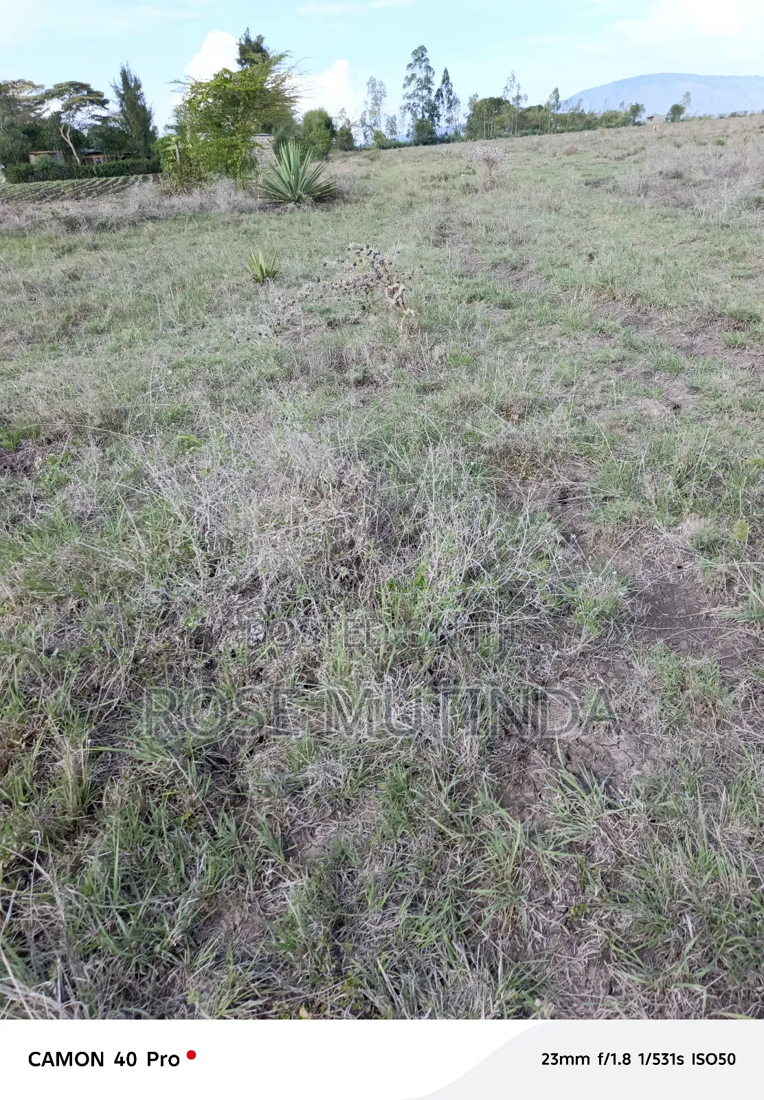4acres at Misuuni in Komarock