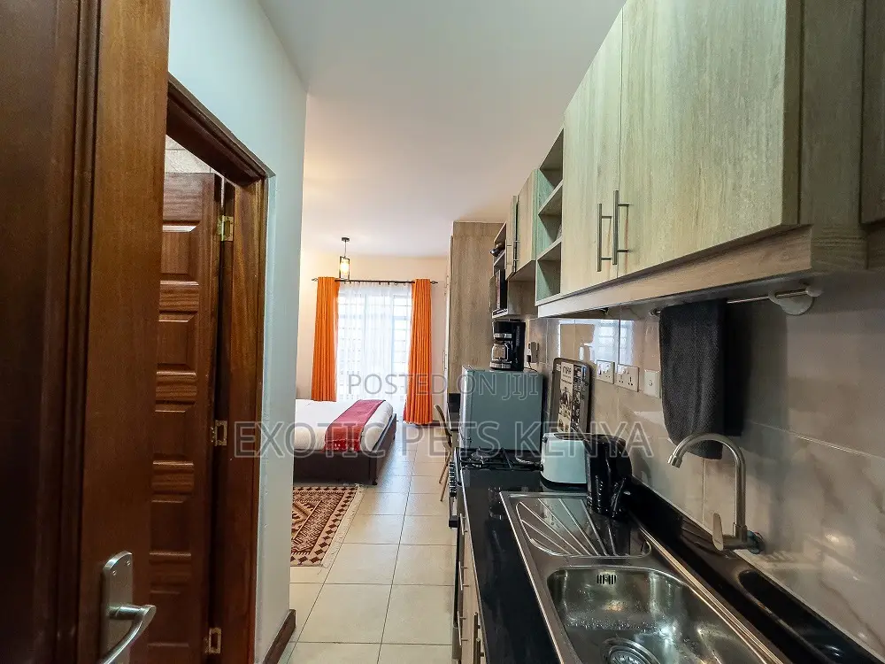 Furnished Studio Apartment in South Suites for rent in South B
