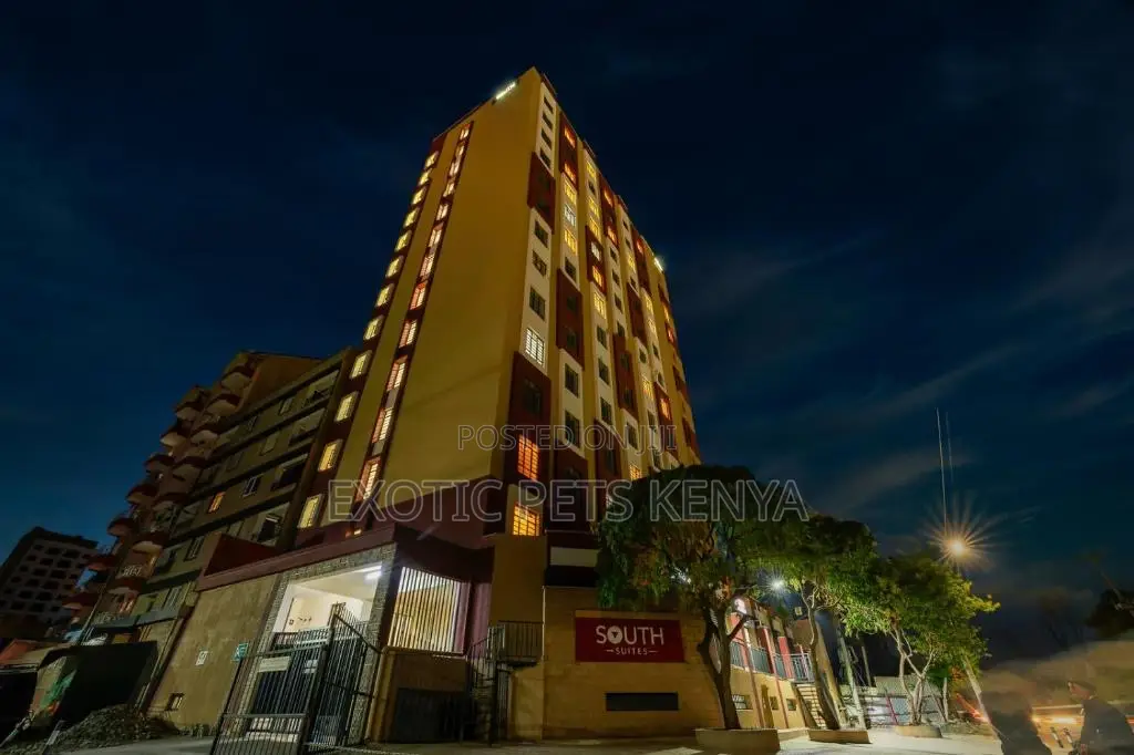 Furnished Studio Apartment in South Suites for rent in South B