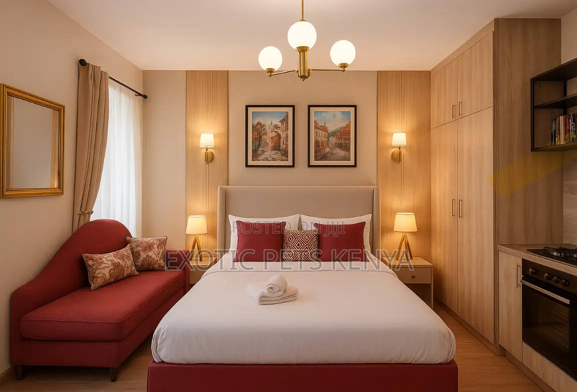 Furnished Studio Apartment in South Suites for rent in South B