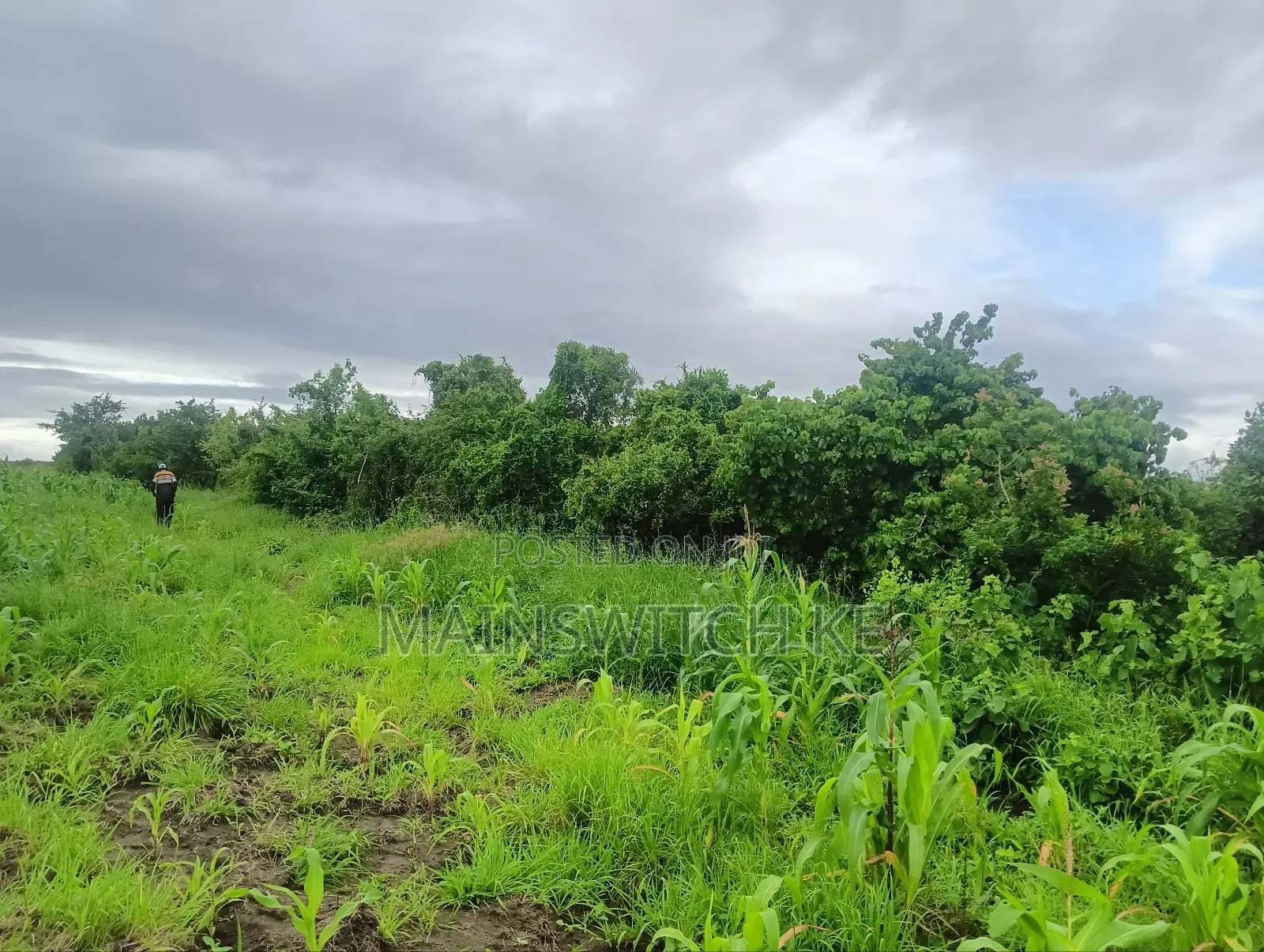 Prime 65 Acres Block in Magarini