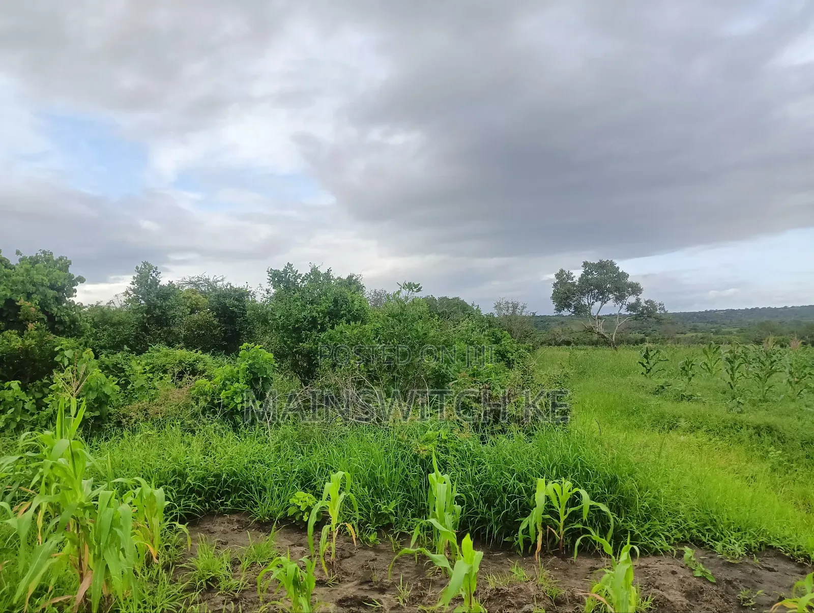 Prime 65 Acres Block in Magarini