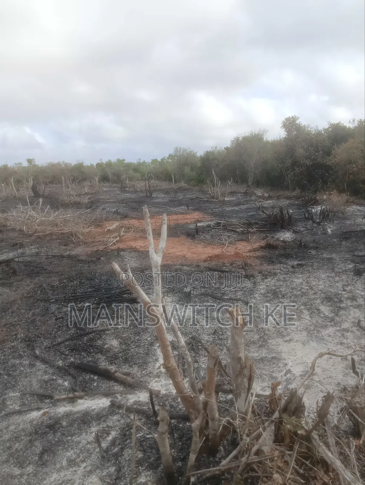 Ekari Thelathini Za Mananasi Zinauzwa Wahi Kuwahi in Magarini