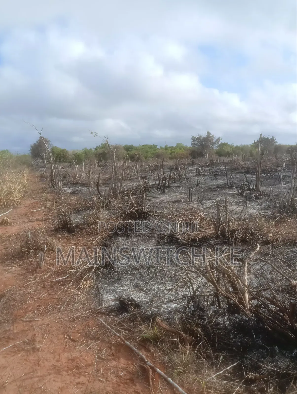 Ekari Thelathini Za Mananasi Zinauzwa Wahi Kuwahi in Magarini