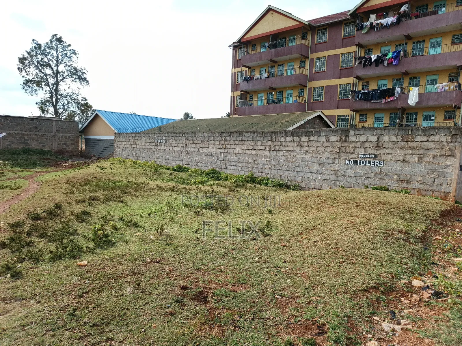 Nyeri Skuta 50/100 in Ruringu