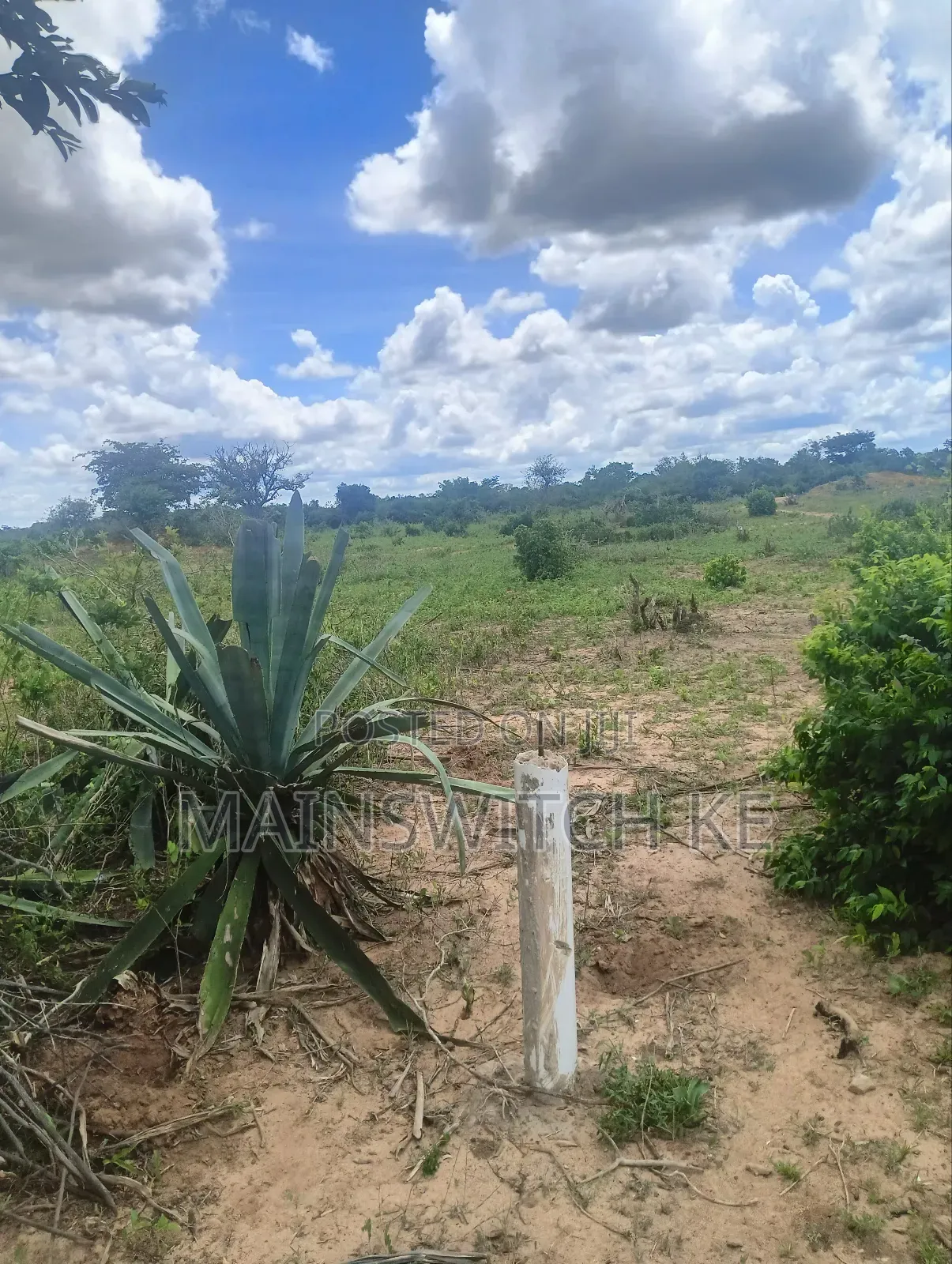 Prime 3 Acres Plot in Magarini