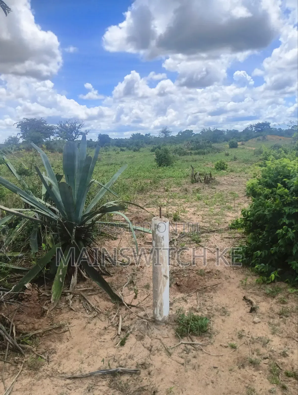 Prime 3 Acres Plot in Magarini