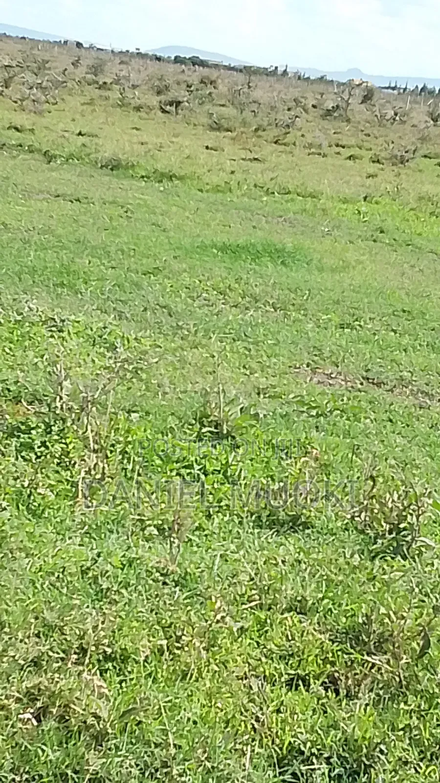 100x100 Titled Plot Beaconed Land on Sale in Ruai