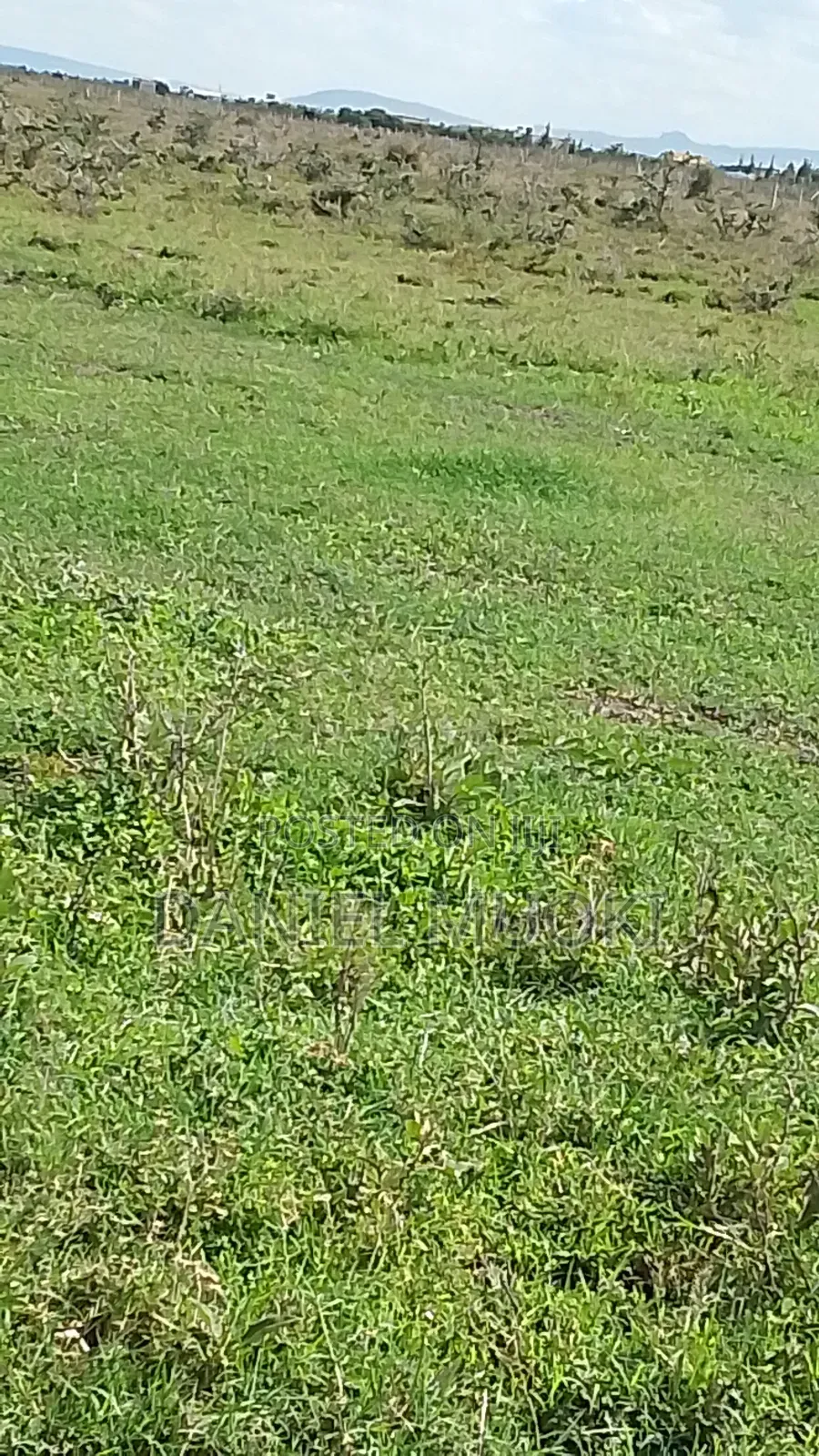 100x100 Titled Plot Beaconed Land on Sale in Ruai