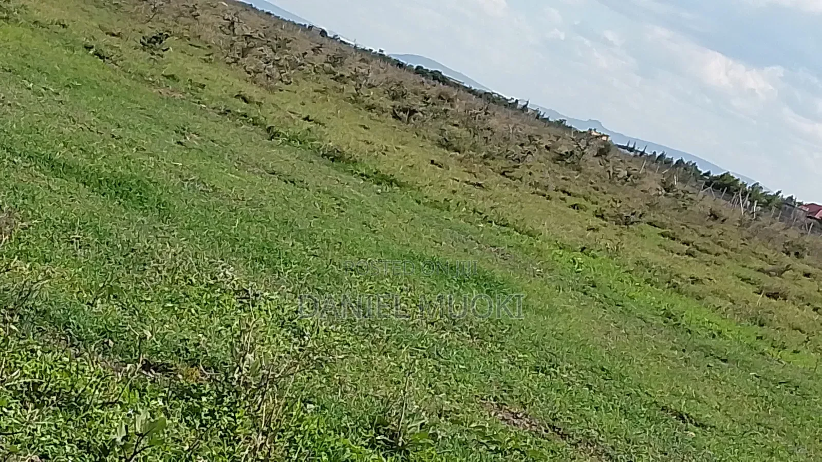 100x100 Titled Plot Beaconed Land on Sale in Ruai