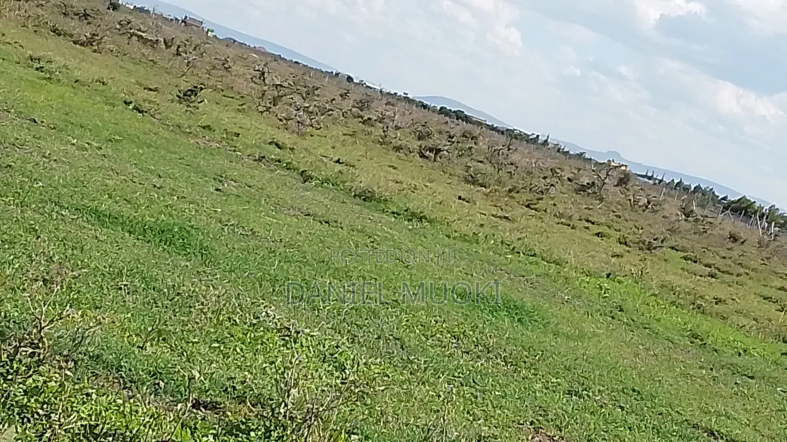 100x100 Titled Plot Beaconed Land on Sale in Ruai