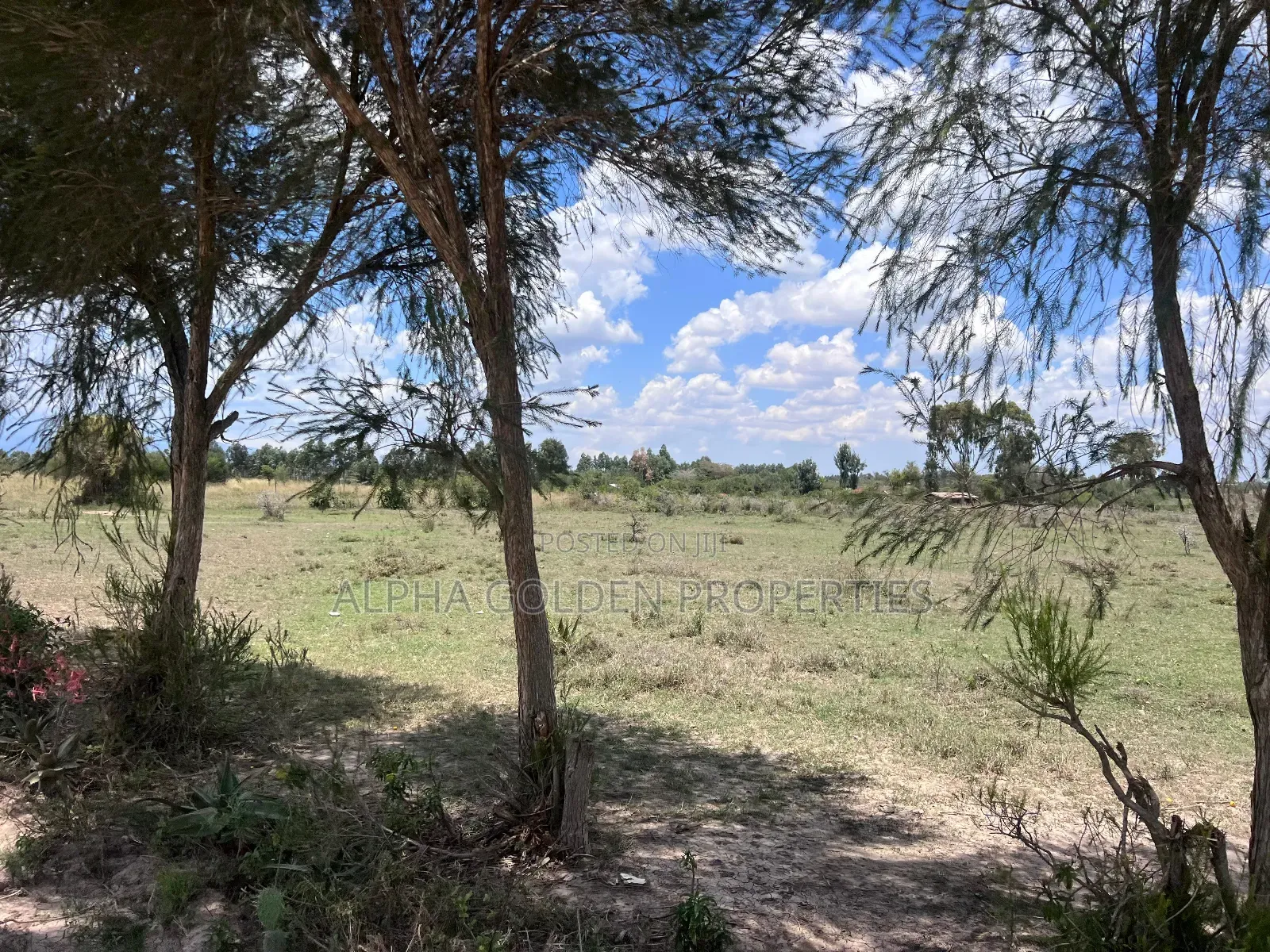 2 Acres in Nanyuki [ Njoguine ] in Nanyuki