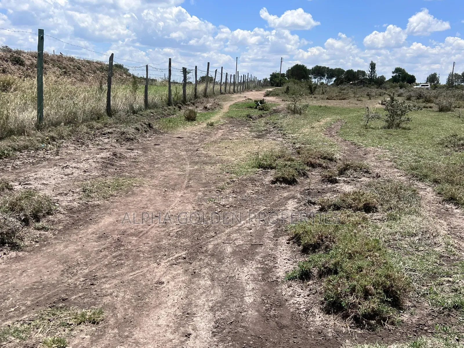 2 Acres in Nanyuki [ Njoguine ] in Nanyuki