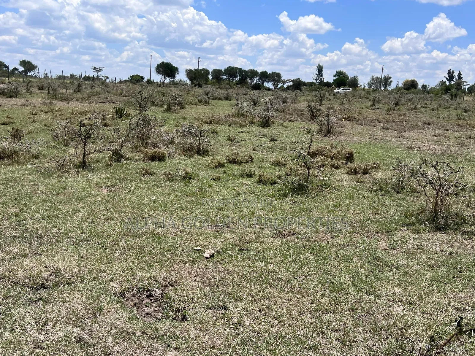 2 Acres in Nanyuki [ Njoguine ] in Nanyuki