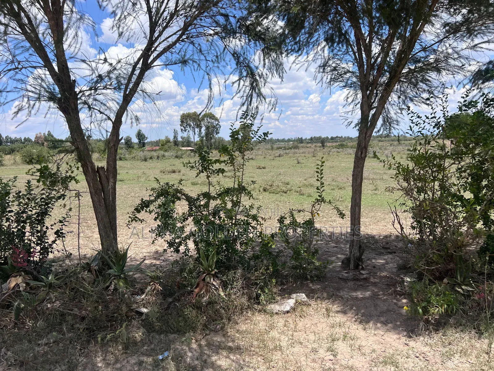 2 Acres in Nanyuki [ Njoguine ] in Nanyuki