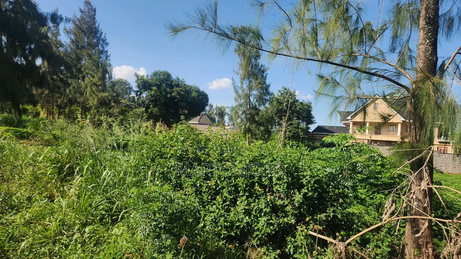 Mugumo Off Kamiti Road in Kiambu / Kiambu 