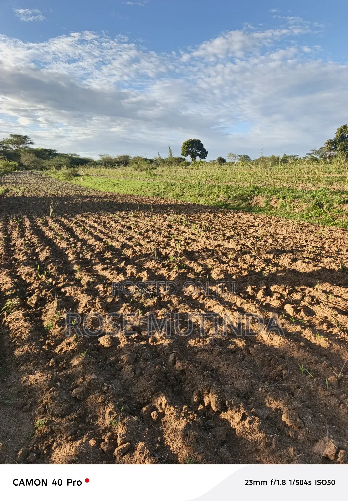 Four Acres for Sale at Nguluni in Nguluni