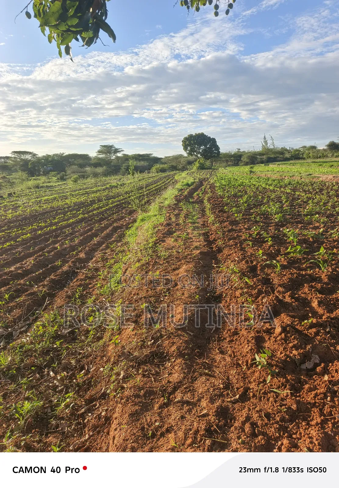 Four Acres for Sale at Nguluni in Nguluni