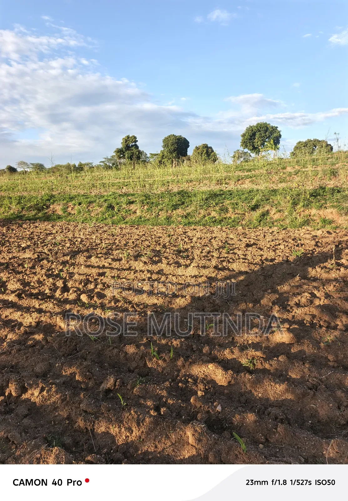 Four Acres for Sale at Nguluni in Nguluni