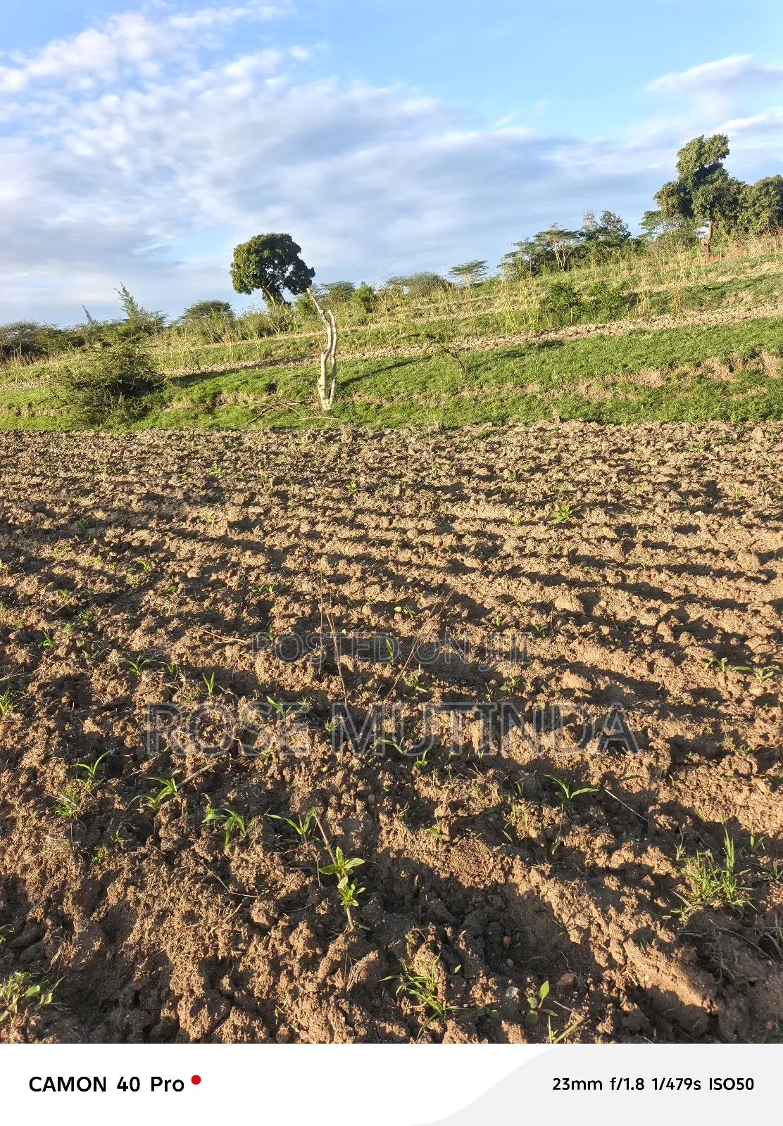 Four Acres for Sale at Nguluni in Nguluni