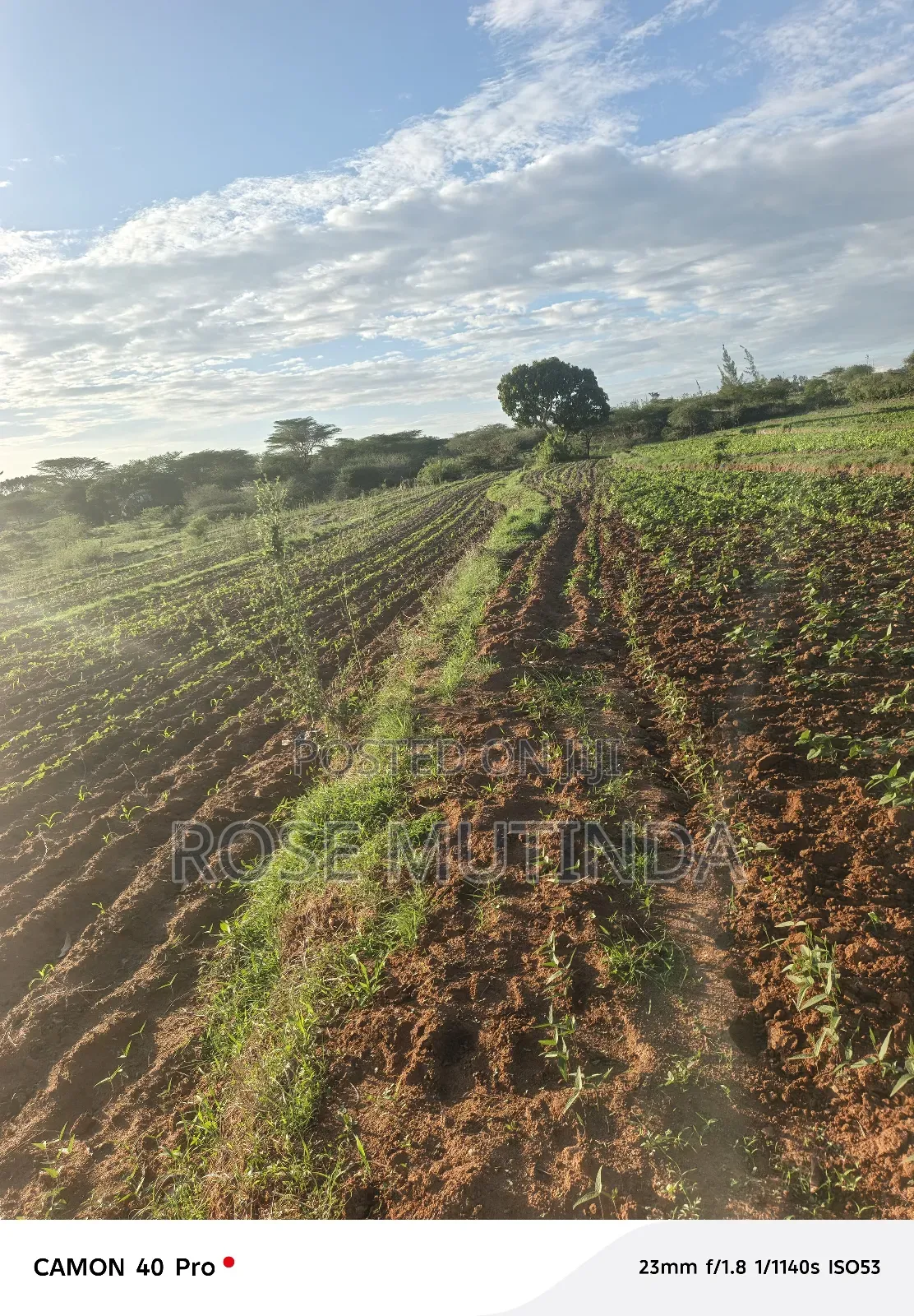 Four Acres for Sale at Nguluni in Nguluni