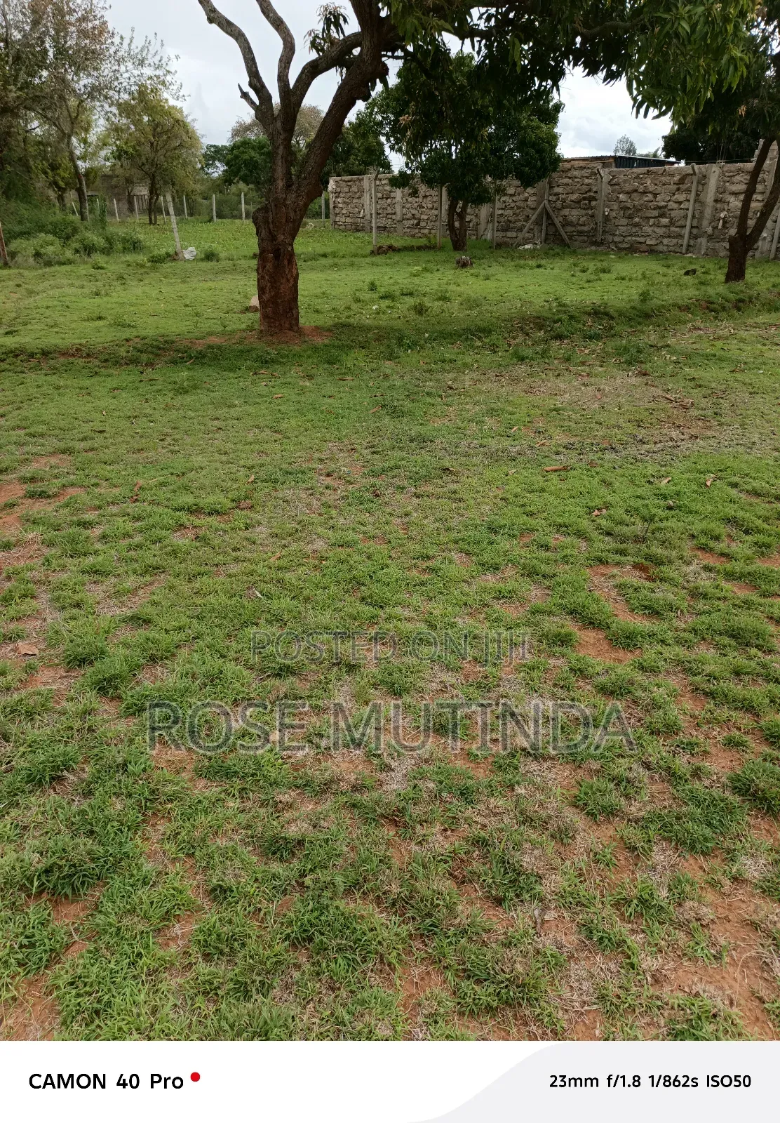 50by 100 at Nguluni in Nguluni